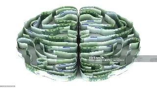 新手入门：解读东莞市金融术语基础知识 poster