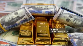 告别借款难题：东莞老司机亲授，一招搞定贷款申请技巧！