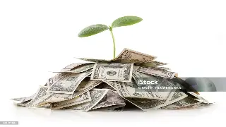 东莞贷款利率“风向标”：别让不懂吃亏！这次帮你“ 信用自救”